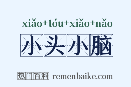 小头小脑是什么意思的图片